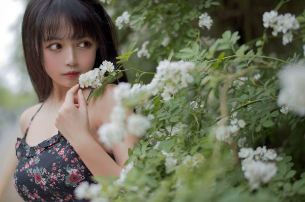 No.022-蔷薇1 [22P]-慕色阁