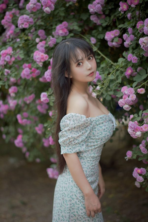 No.023-蔷薇2 [27P]-慕色阁