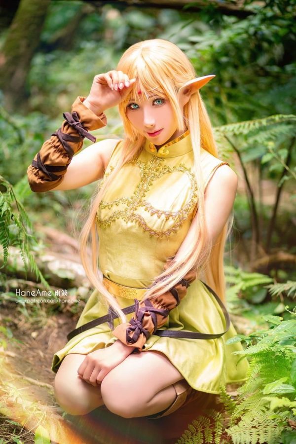 No.035-Record of lodoss Deedlit [6P]-慕色阁