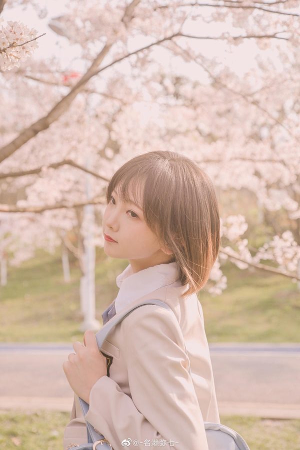 No.003-樱花 [14P]-慕色阁