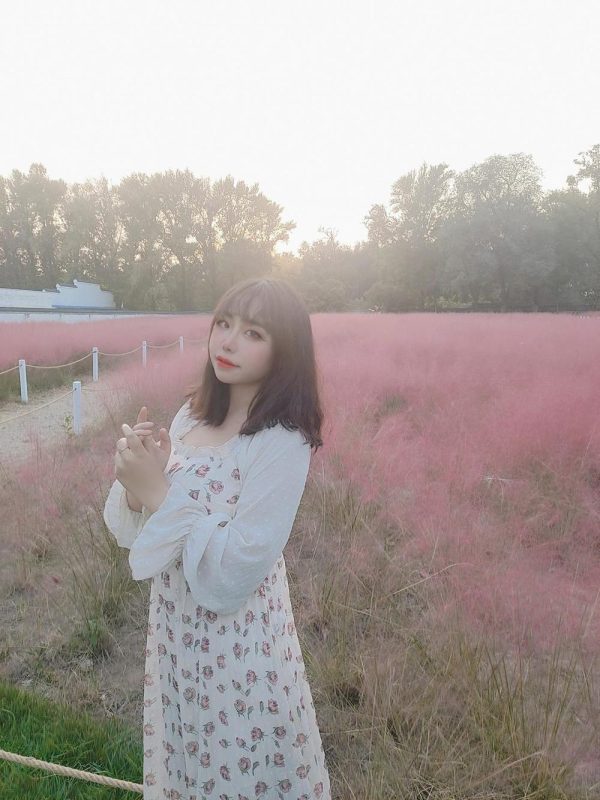 No.024-粉草 [9P]-慕色阁