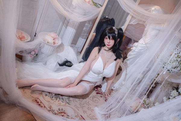 No.022-大凤 婚纱 [18P]-慕色阁