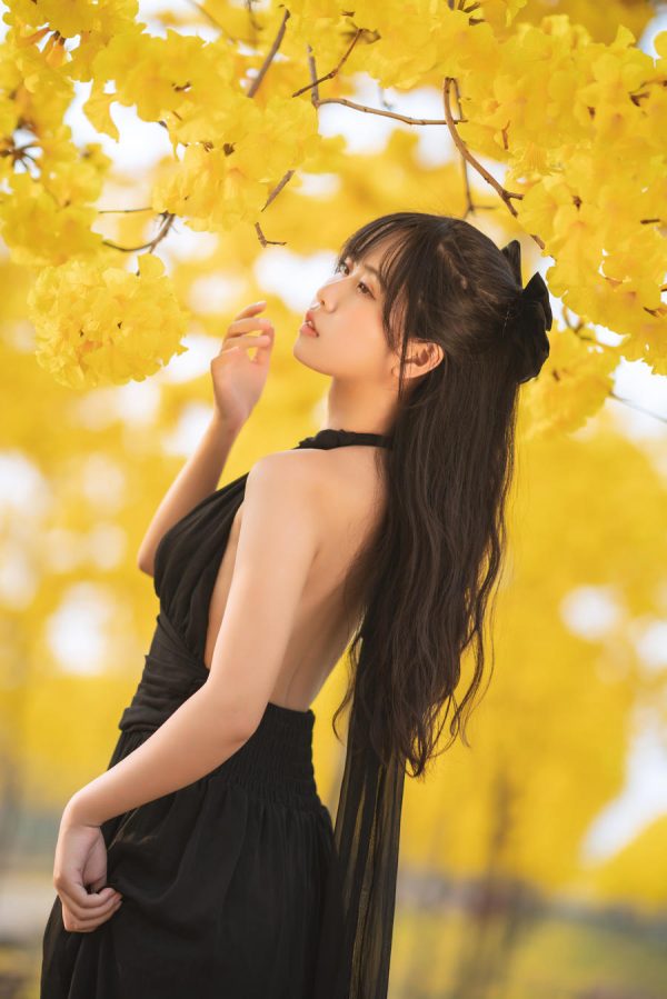 No.025 – 秋有银杏 春有黄风铃 [23P]-慕色阁