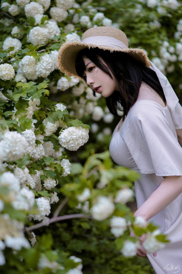 No.067 – 绣球花 [36P]-慕色阁